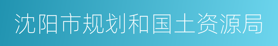 沈阳市规划和国土资源局的同义词