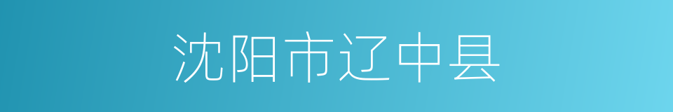 沈阳市辽中县的同义词