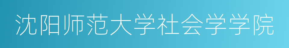 沈阳师范大学社会学学院的同义词