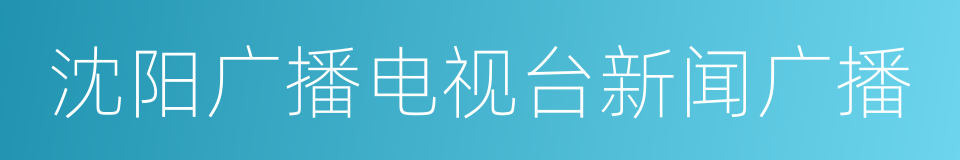 沈阳广播电视台新闻广播的同义词