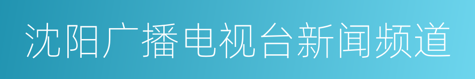 沈阳广播电视台新闻频道的同义词