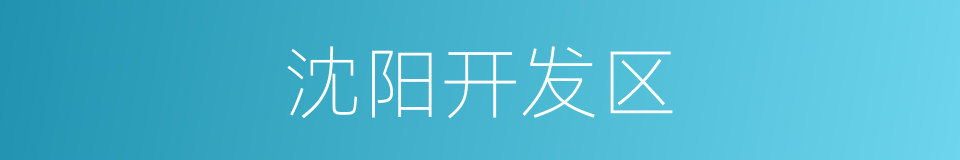 沈阳开发区的同义词