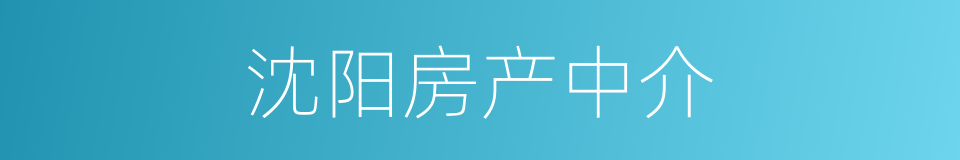 沈阳房产中介的同义词