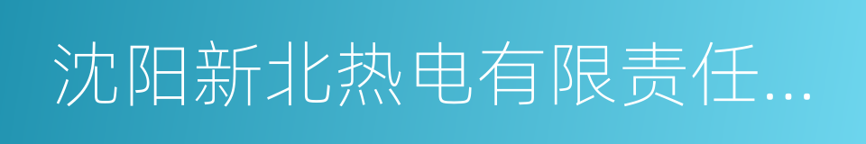 沈阳新北热电有限责任公司的同义词