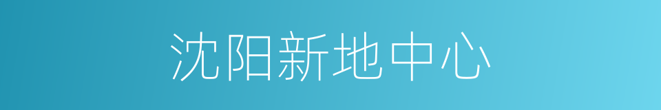 沈阳新地中心的同义词