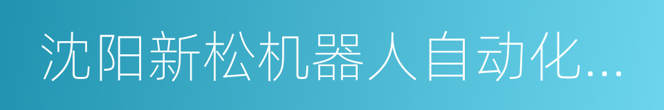 沈阳新松机器人自动化股份有限公司的同义词