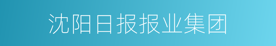 沈阳日报报业集团的同义词