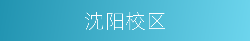 沈阳校区的同义词