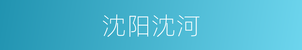 沈阳沈河的同义词