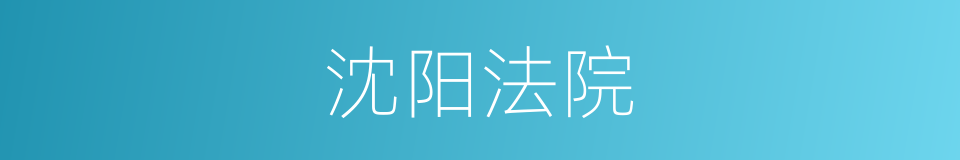 沈阳法院的同义词