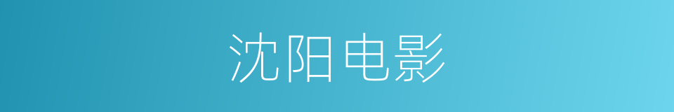 沈阳电影的同义词