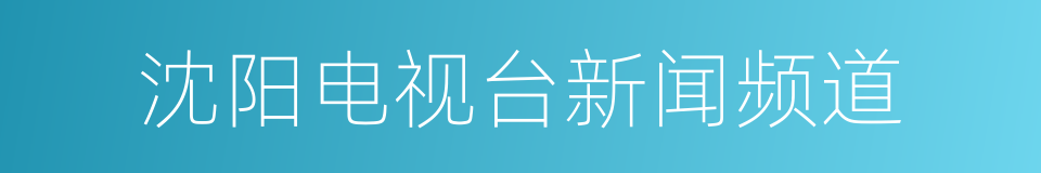 沈阳电视台新闻频道的同义词