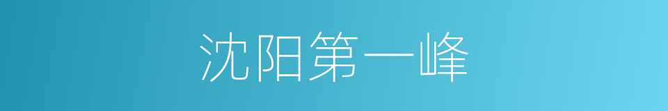沈阳第一峰的同义词
