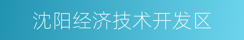 沈阳经济技术开发区的同义词