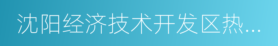 沈阳经济技术开发区热电有限公司的同义词