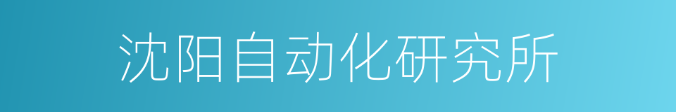 沈阳自动化研究所的同义词