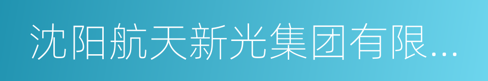 沈阳航天新光集团有限公司的同义词