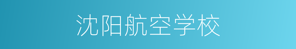 沈阳航空学校的同义词