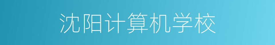 沈阳计算机学校的同义词