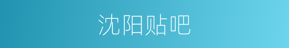 沈阳贴吧的同义词