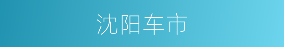 沈阳车市的同义词