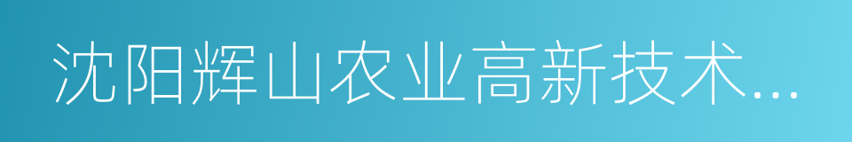 沈阳辉山农业高新技术开发区的同义词