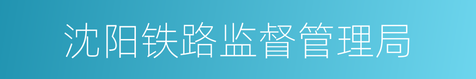 沈阳铁路监督管理局的同义词