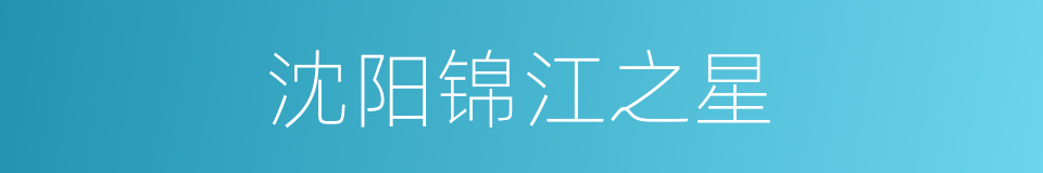 沈阳锦江之星的同义词