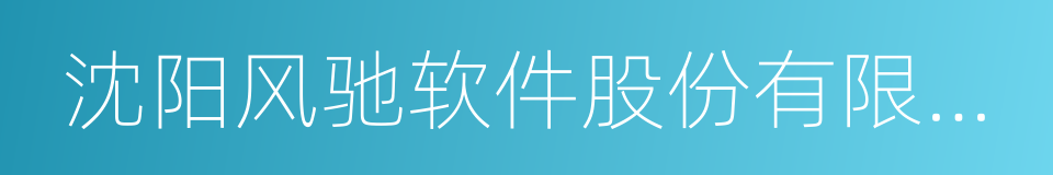 沈阳风驰软件股份有限公司的同义词
