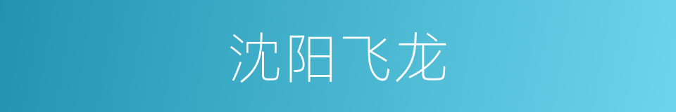 沈阳飞龙的同义词