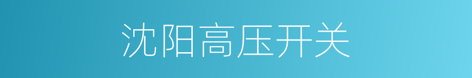 沈阳高压开关的同义词