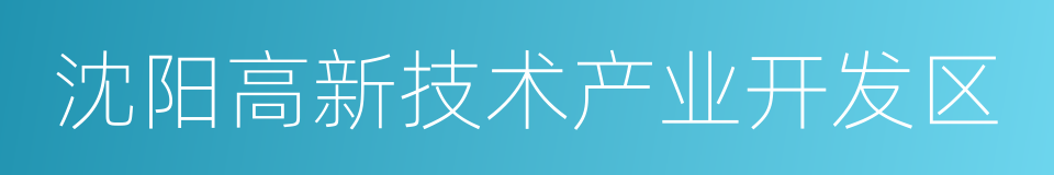 沈阳高新技术产业开发区的同义词