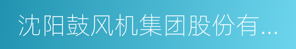 沈阳鼓风机集团股份有限公司的同义词