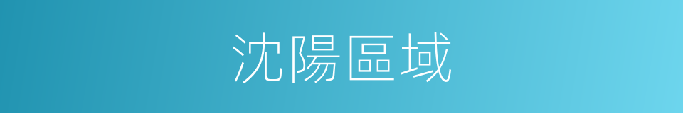 沈陽區域的同義詞