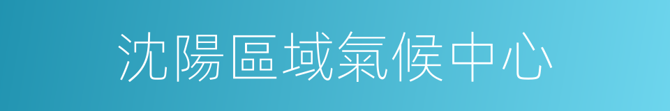 沈陽區域氣候中心的同義詞