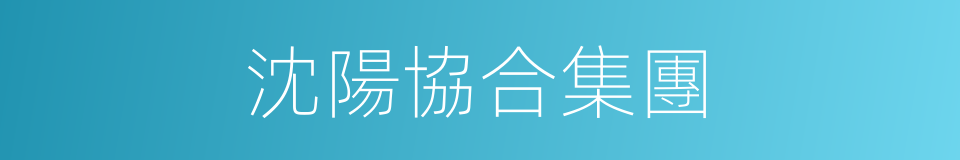 沈陽協合集團的同義詞