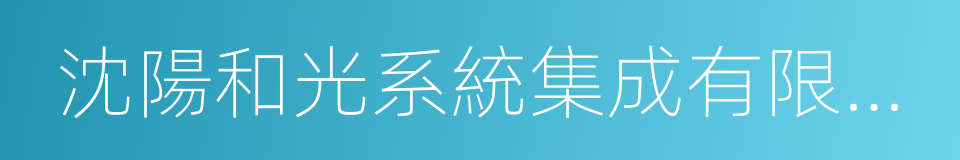 沈陽和光系統集成有限公司的同義詞