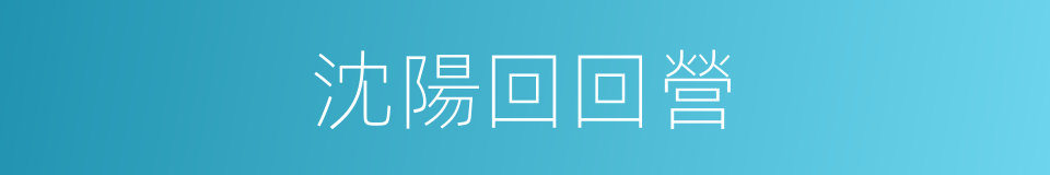 沈陽回回營的同義詞