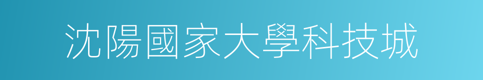沈陽國家大學科技城的同義詞