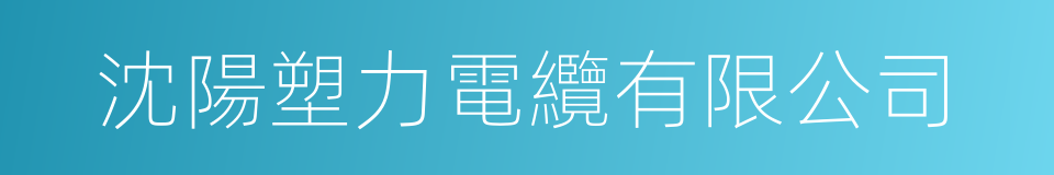 沈陽塑力電纜有限公司的同義詞