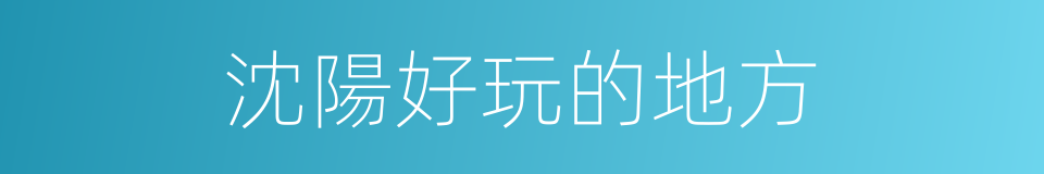 沈陽好玩的地方的同義詞