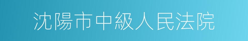 沈陽市中級人民法院的同義詞