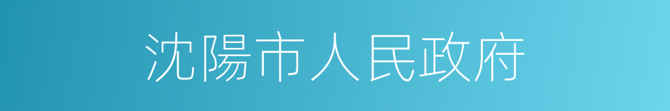 沈陽市人民政府的同義詞