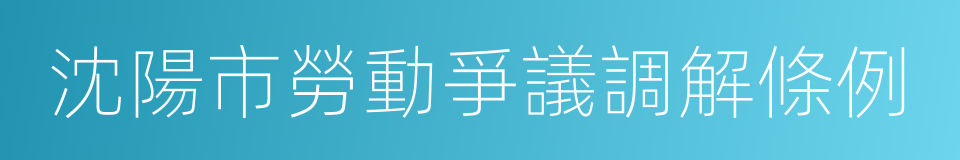 沈陽市勞動爭議調解條例的同義詞