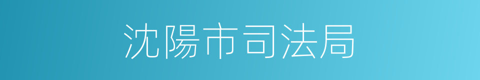 沈陽市司法局的同義詞