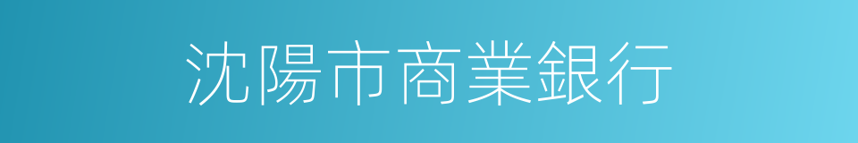 沈陽市商業銀行的同義詞