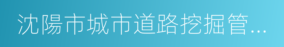 沈陽市城市道路挖掘管理辦法的意思