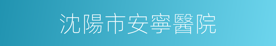 沈陽市安寧醫院的同義詞