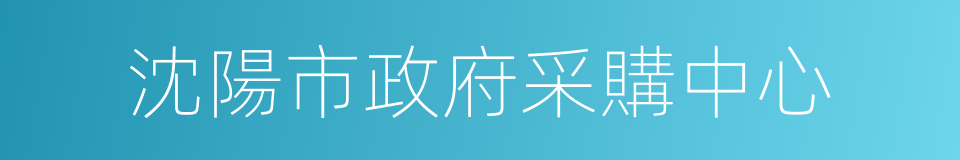 沈陽市政府采購中心的同義詞