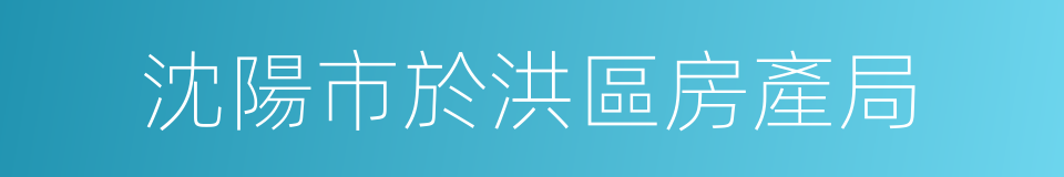 沈陽市於洪區房產局的同義詞